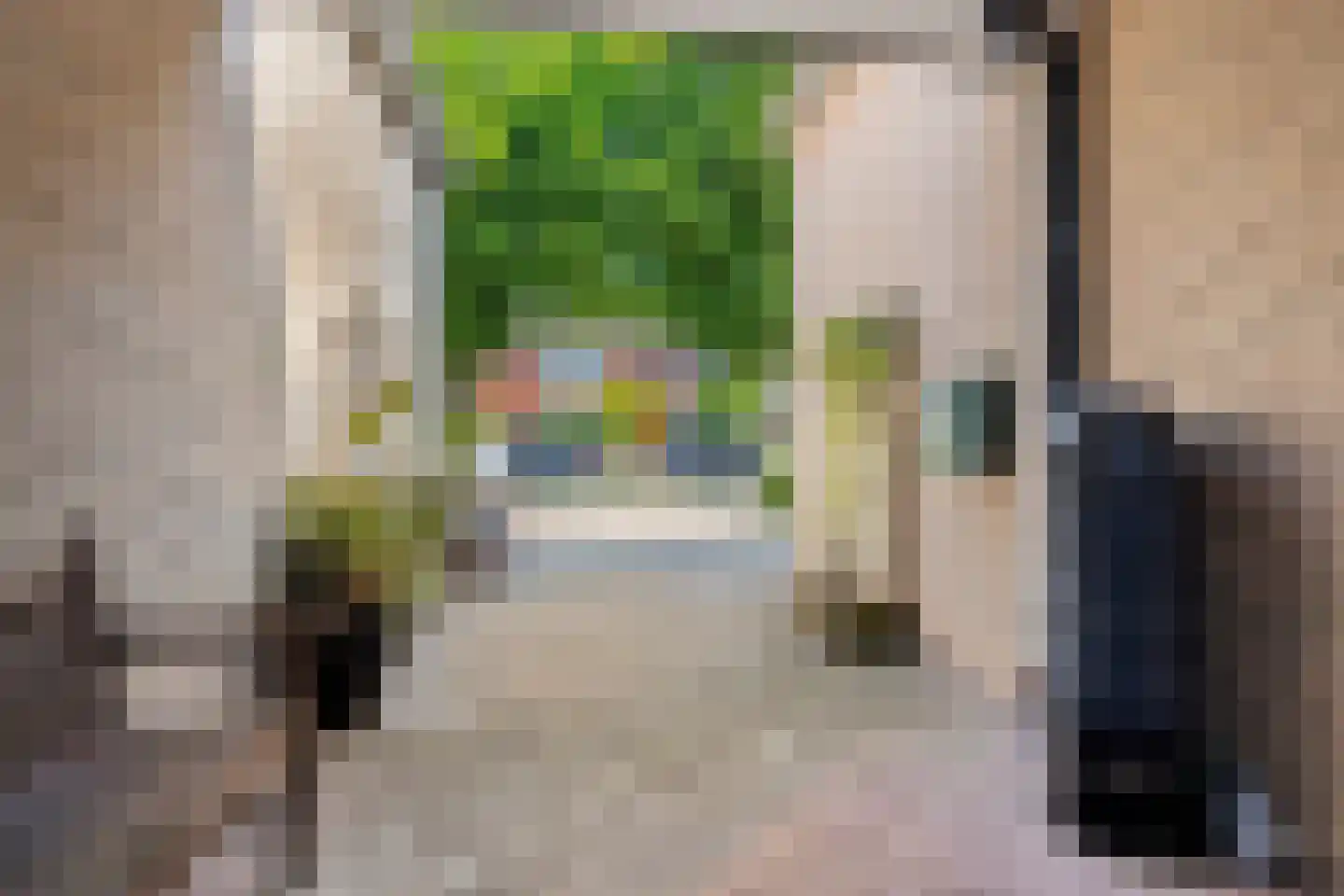 Voorbijstraat 6 Duiven thumbnail 7