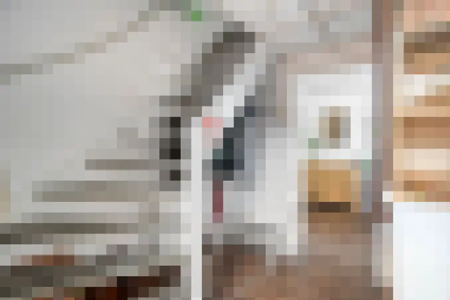 Voorbijstraat 6 Duiven thumbnail 9