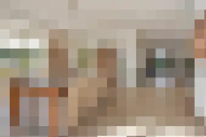 Voorbolst 3 A Erp thumbnail 12