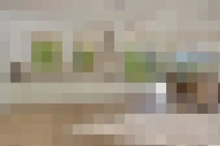 Voorbolst 3 A Erp thumbnail 13
