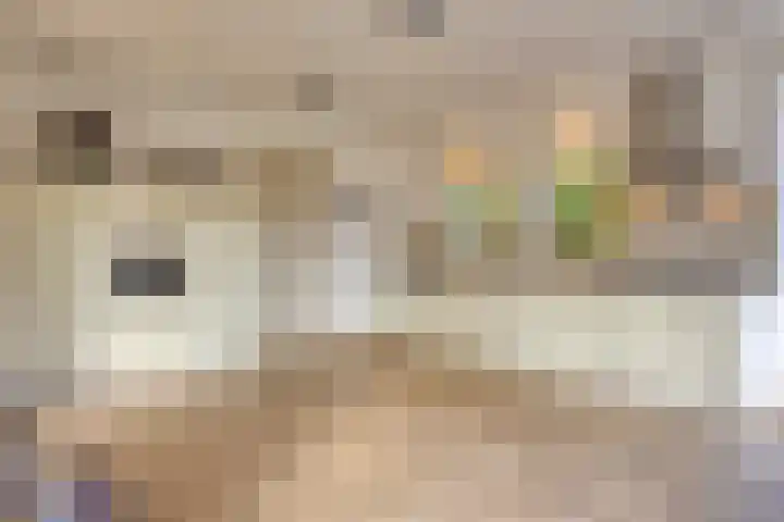Voorbolst 3 A Erp thumbnail 14