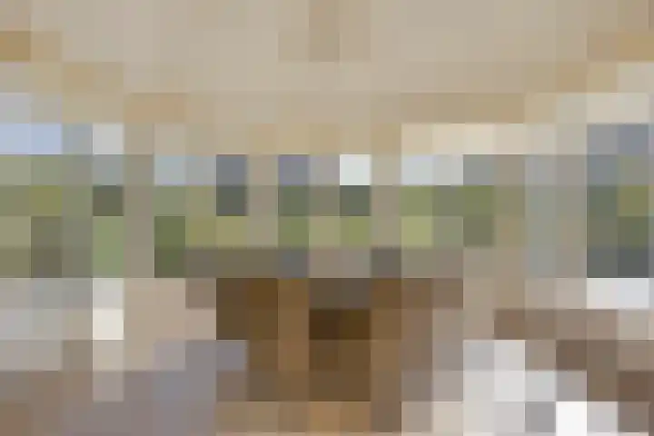 Voorbolst 3 A Erp thumbnail 15