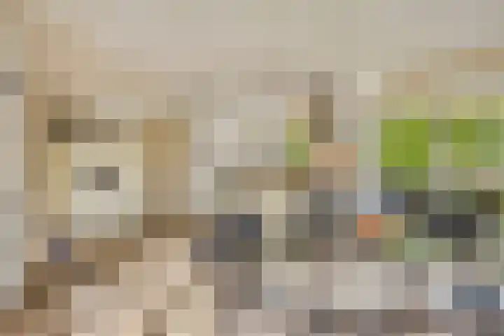 Voorbolst 3 A Erp thumbnail 16