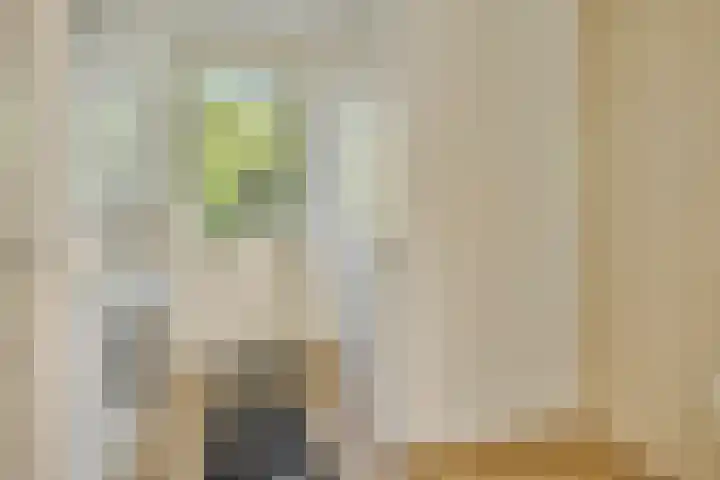Voorbolst 3 A Erp thumbnail 17