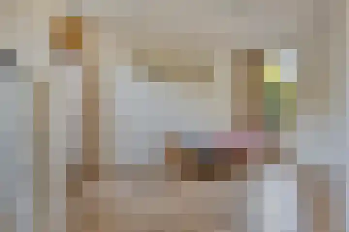 Voorbolst 3 A Erp thumbnail 19