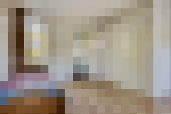 Voorbolst 3 A Erp thumbnail 20