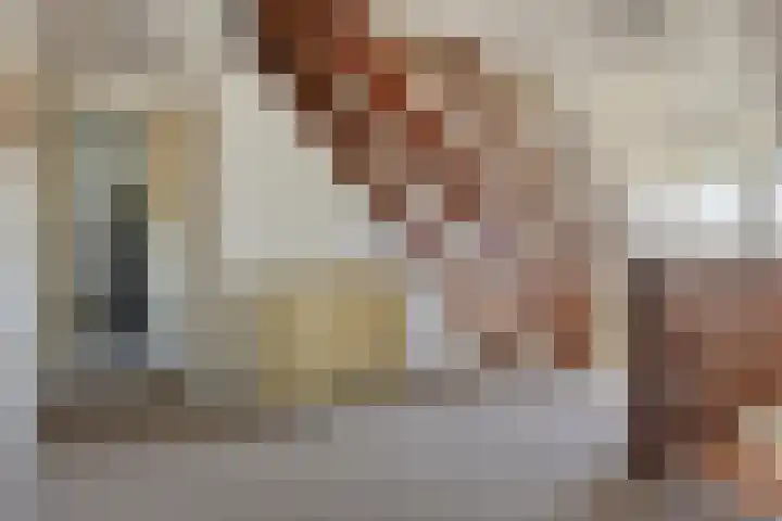 Voorbolst 3 A Erp thumbnail 23