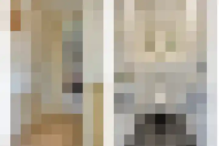 Voorbolst 3 A Erp thumbnail 24