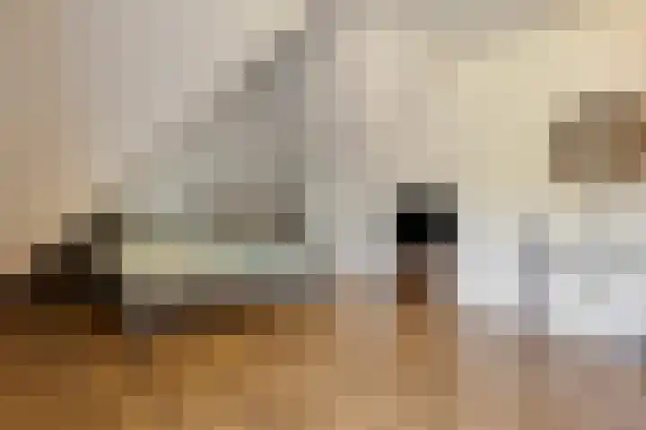 Voorbolst 3 A Erp thumbnail 26