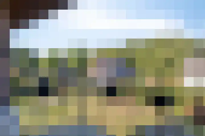 Voorbolst 3 A Erp thumbnail 30