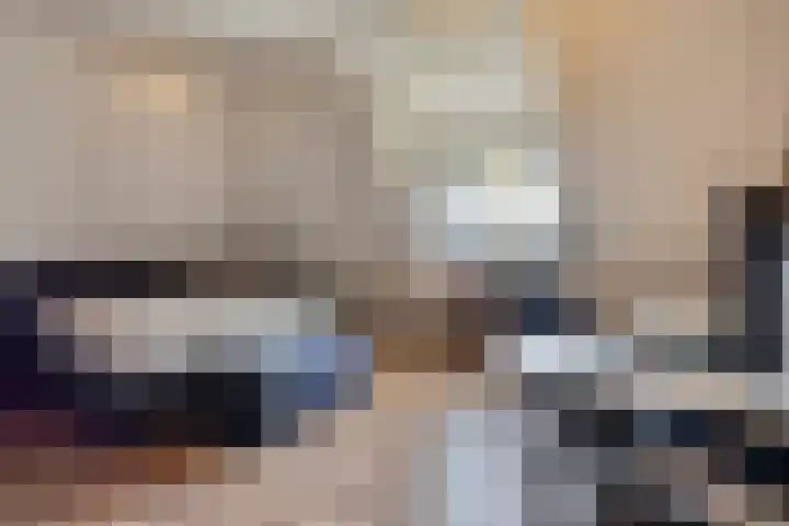Voorbolst 3 A Erp thumbnail 33
