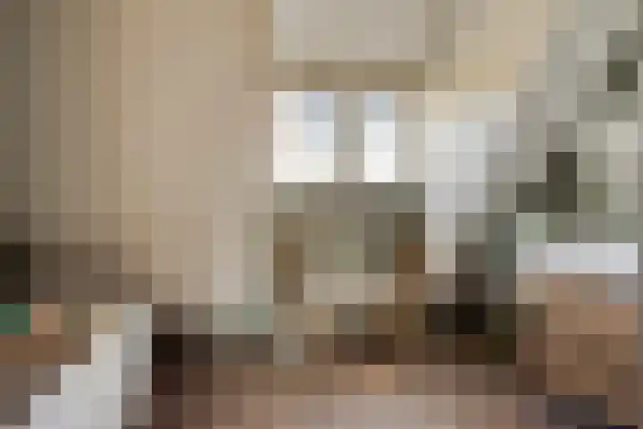 Voorbolst 3 A Erp thumbnail 35