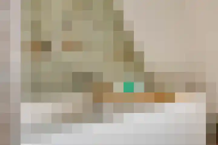 Voorbolst 3 A Erp thumbnail 36