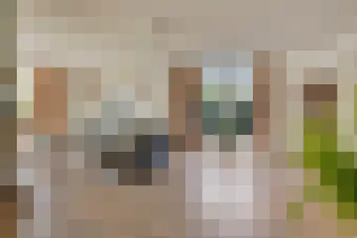 Voorbolst 3 A Erp thumbnail 4