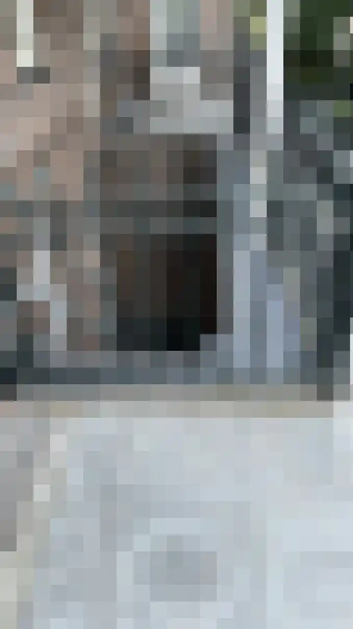 Voorbolst 3 A Erp thumbnail 46