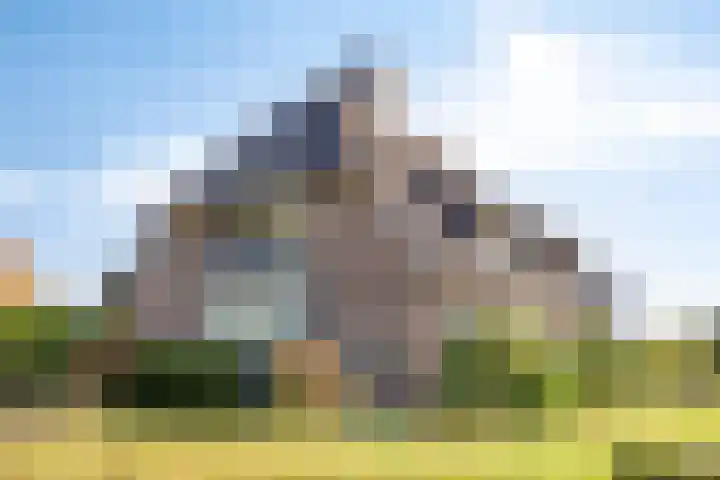Voorbolst 3 A Erp thumbnail 48