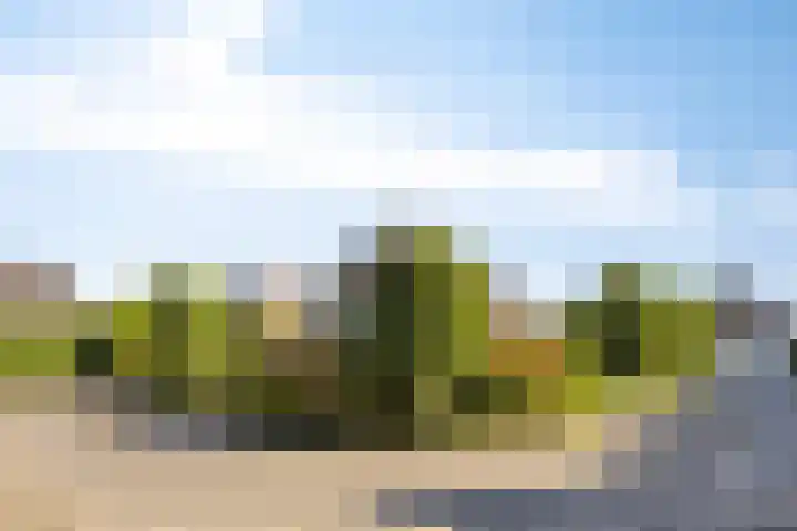 Voorbolst 3 A Erp thumbnail 49