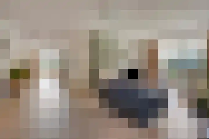 Voorbolst 3 A Erp thumbnail 5