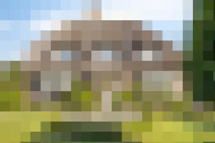 Voorbolst 3 A Erp thumbnail 50
