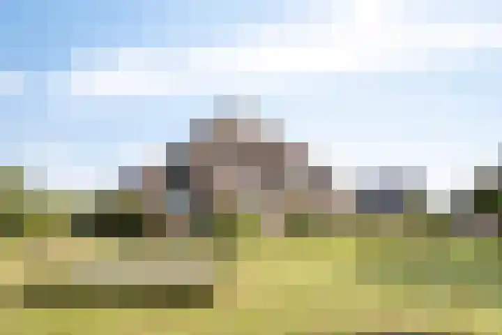 Voorbolst 3 A Erp thumbnail 52
