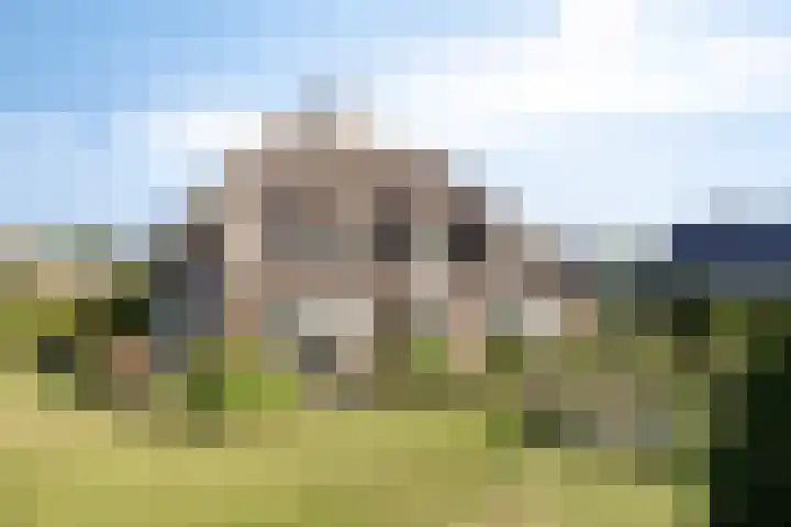 Voorbolst 3 A Erp thumbnail 53