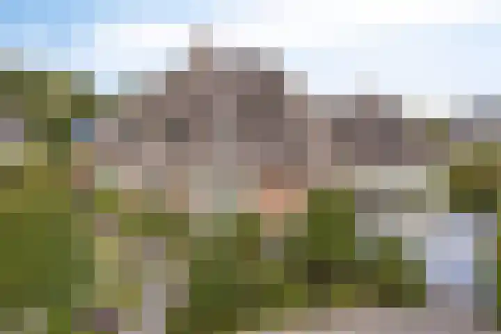 Voorbolst 3 A Erp thumbnail 54