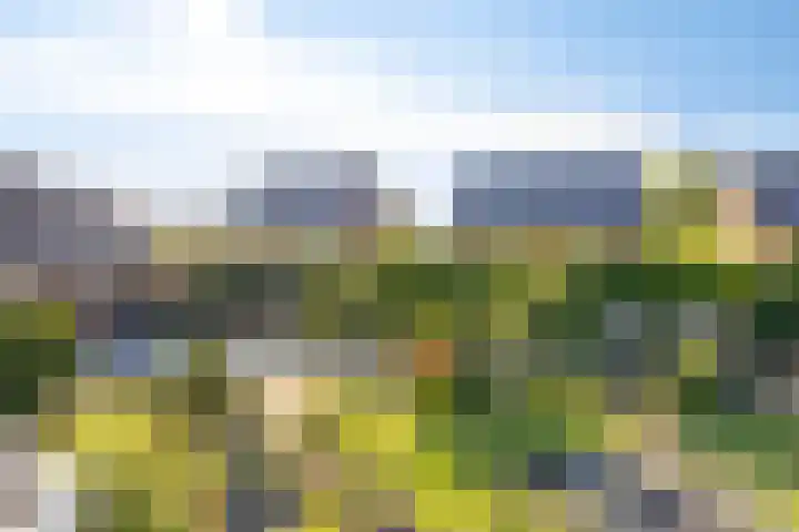 Voorbolst 3 A Erp thumbnail 56