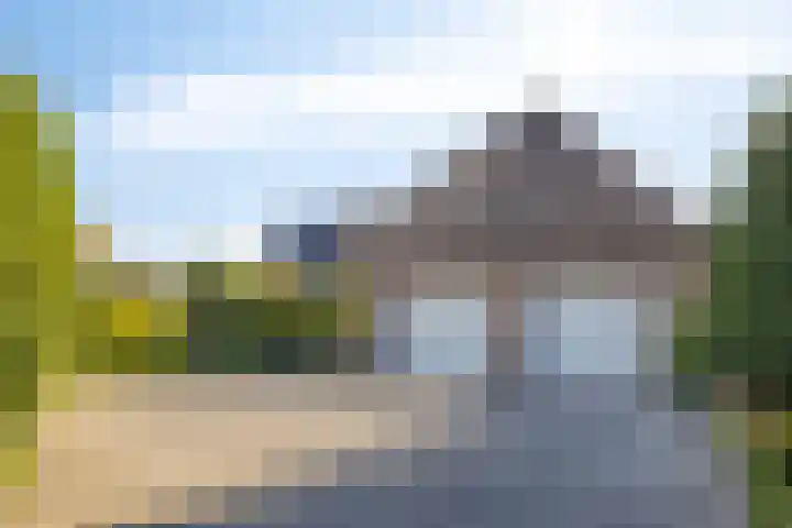 Voorbolst 3 A Erp thumbnail 57