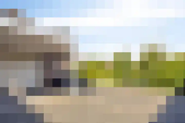 Voorbolst 3 A Erp thumbnail 58