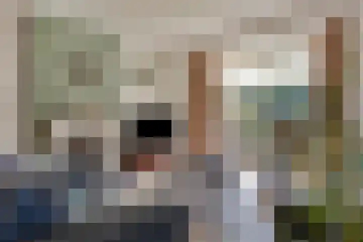 Voorbolst 3 A Erp thumbnail 6