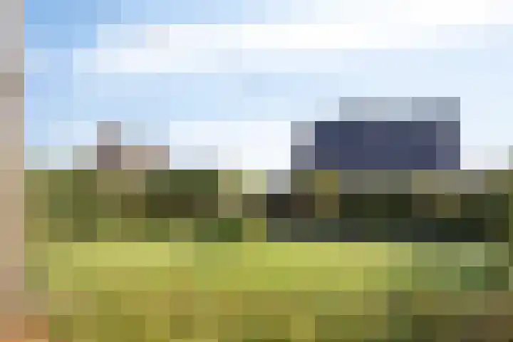 Voorbolst 3 A Erp thumbnail 60