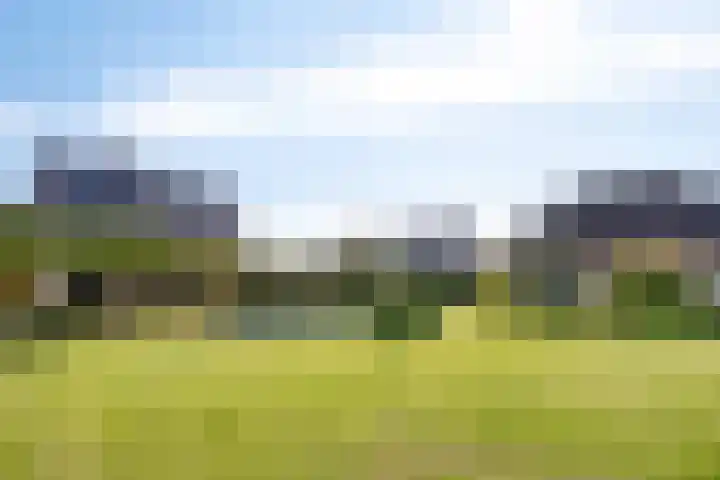 Voorbolst 3 A Erp thumbnail 61