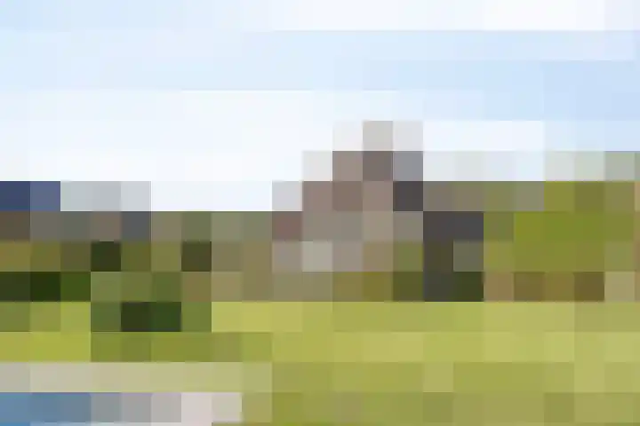 Voorbolst 3 A Erp thumbnail 62