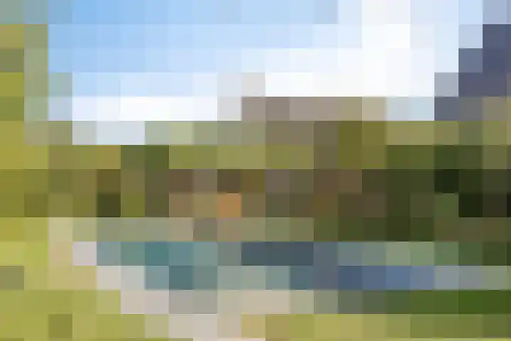 Voorbolst 3 A Erp thumbnail 64