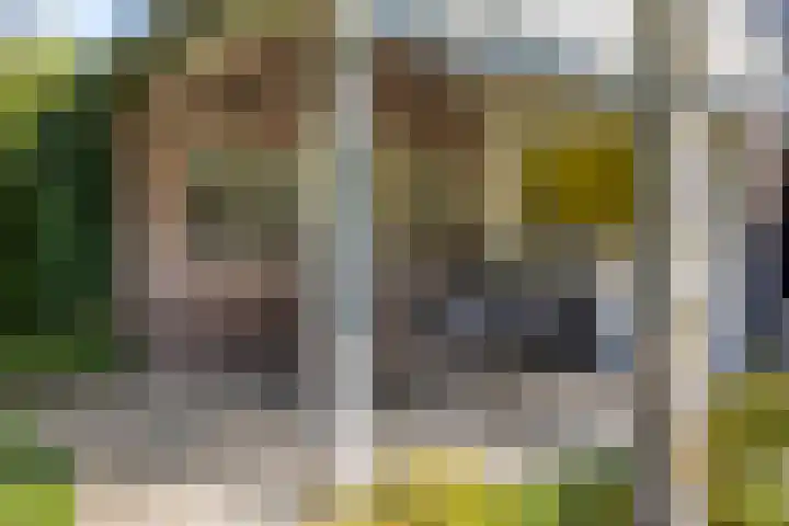 Voorbolst 3 A Erp thumbnail 66