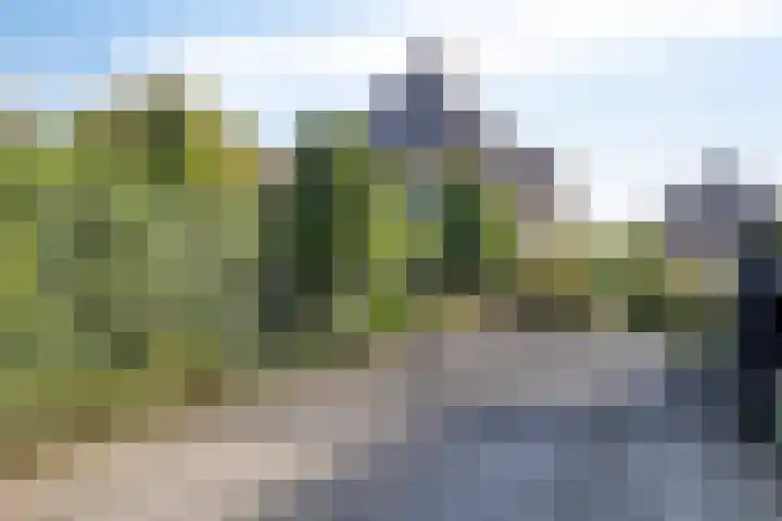 Voorbolst 3 A Erp thumbnail 67