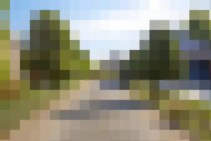 Voorbolst 3 A Erp thumbnail 68