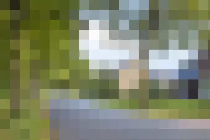 Voorbolst 3 A Erp thumbnail 69