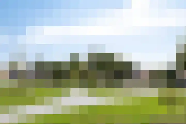 Voorbolst 3 A Erp thumbnail 72