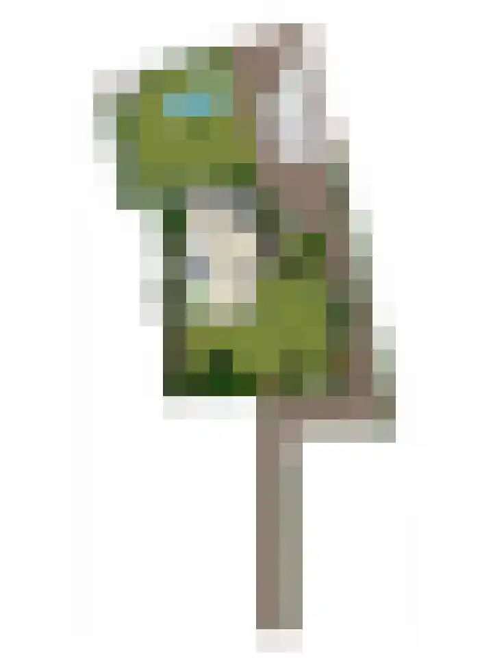 Voorbolst 3 A Erp thumbnail 73