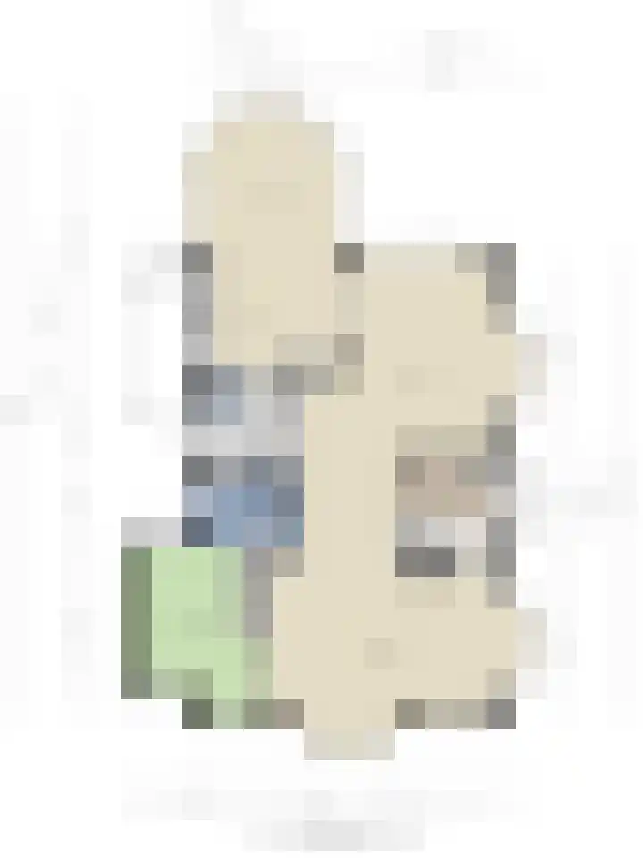 Voorbolst 3 A Erp thumbnail 74