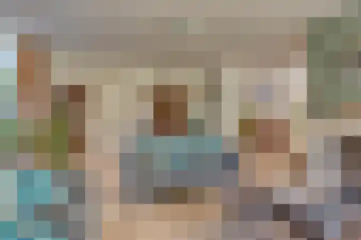 Voorbolst 3 A Erp thumbnail 8