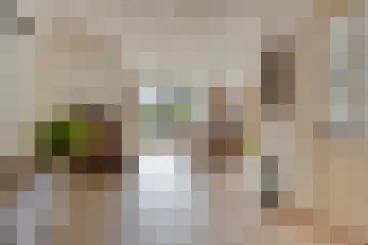 Voorbolst 3 A Erp thumbnail 9
