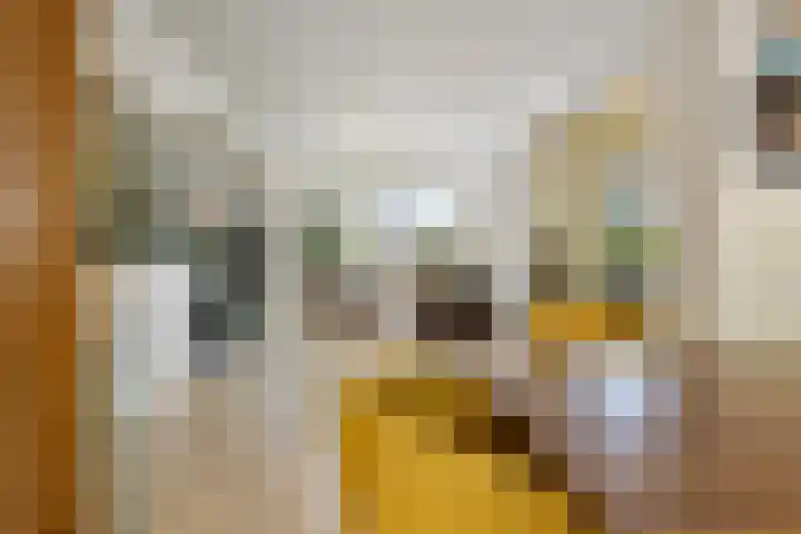 Voorborch 18 Middelburg thumbnail 11