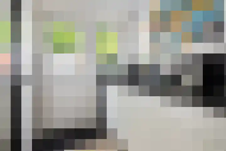 Voorborch 18 Middelburg thumbnail 14