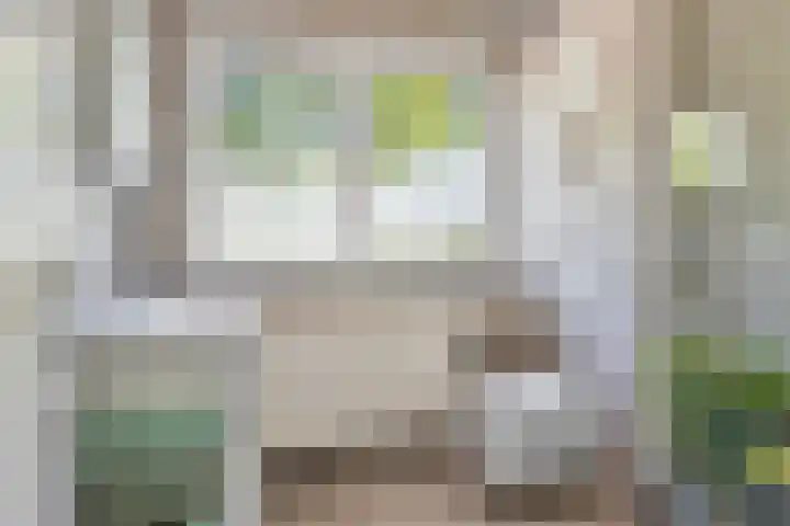 Voorborch 18 Middelburg thumbnail 20