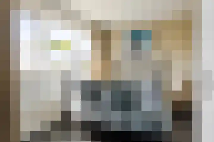 Voorborch 18 Middelburg thumbnail 23