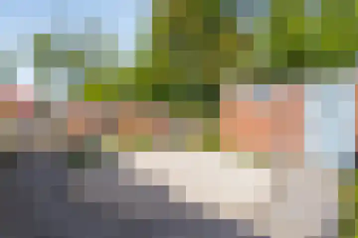 Voorborch 18 Middelburg thumbnail 30