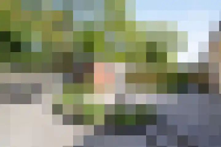 Voorborch 18 Middelburg thumbnail 31