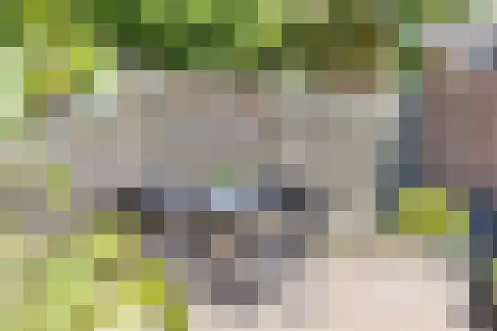 Voorborch 18 Middelburg thumbnail 33